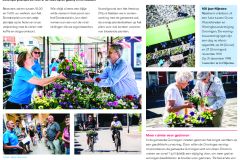 Nijestee Nieuws juni 2019